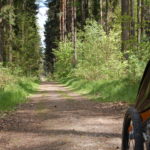 Kinderwagen im Wald